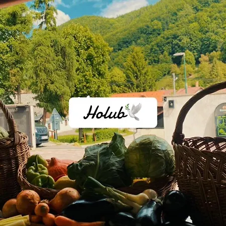 ゲストハウス Holub Tajov